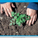 Botany Teaching Manual - Early Childhood