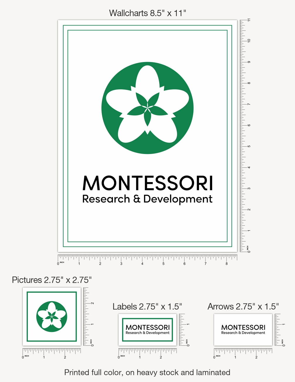 Butterfly Life Cycle Wallchart - 1