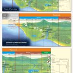 Timeline of Plant Evolution - Banner
