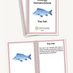 Zoology Elementary Nomenclature Booklets