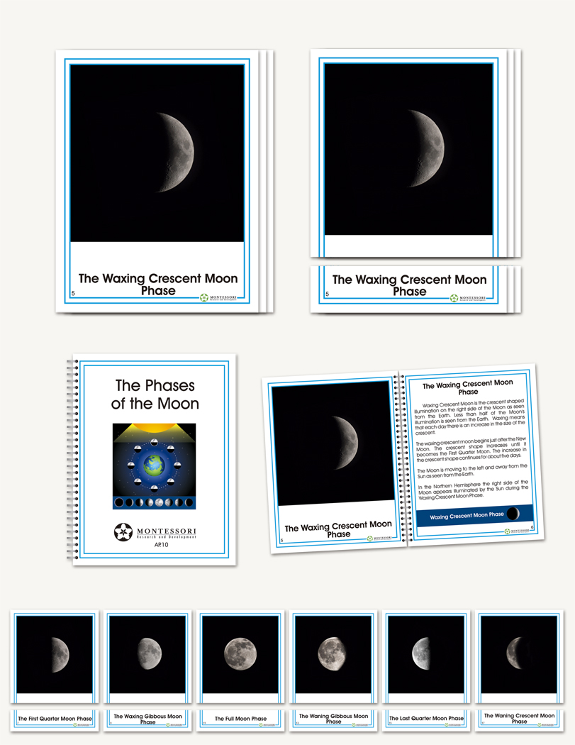 The Phases of the Moon