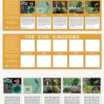 The Five Kingdoms Charts