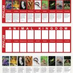 Animal Kingdom Charts