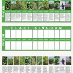Plant Kingdom Charts