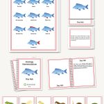 Zoology Elementary Nomenclature