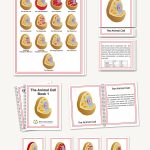 Animal Cell
