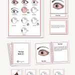 Eye Parts, Elementary