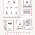 The Respiratory System, Elementary