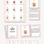 The Digestive System, Elementary