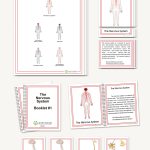 The Nervous System, Elementary