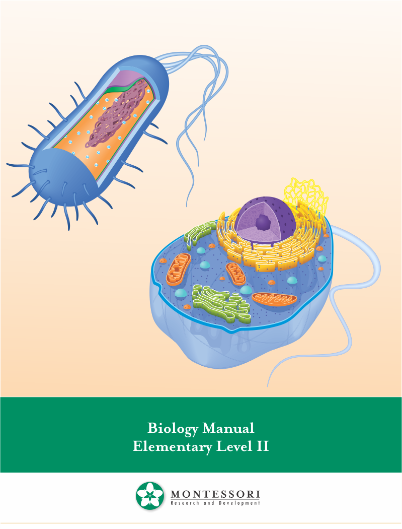 Biology Teaching Manual - Elementary II (9-12) - 1