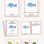 Zoology Early Childhood Nomenclature