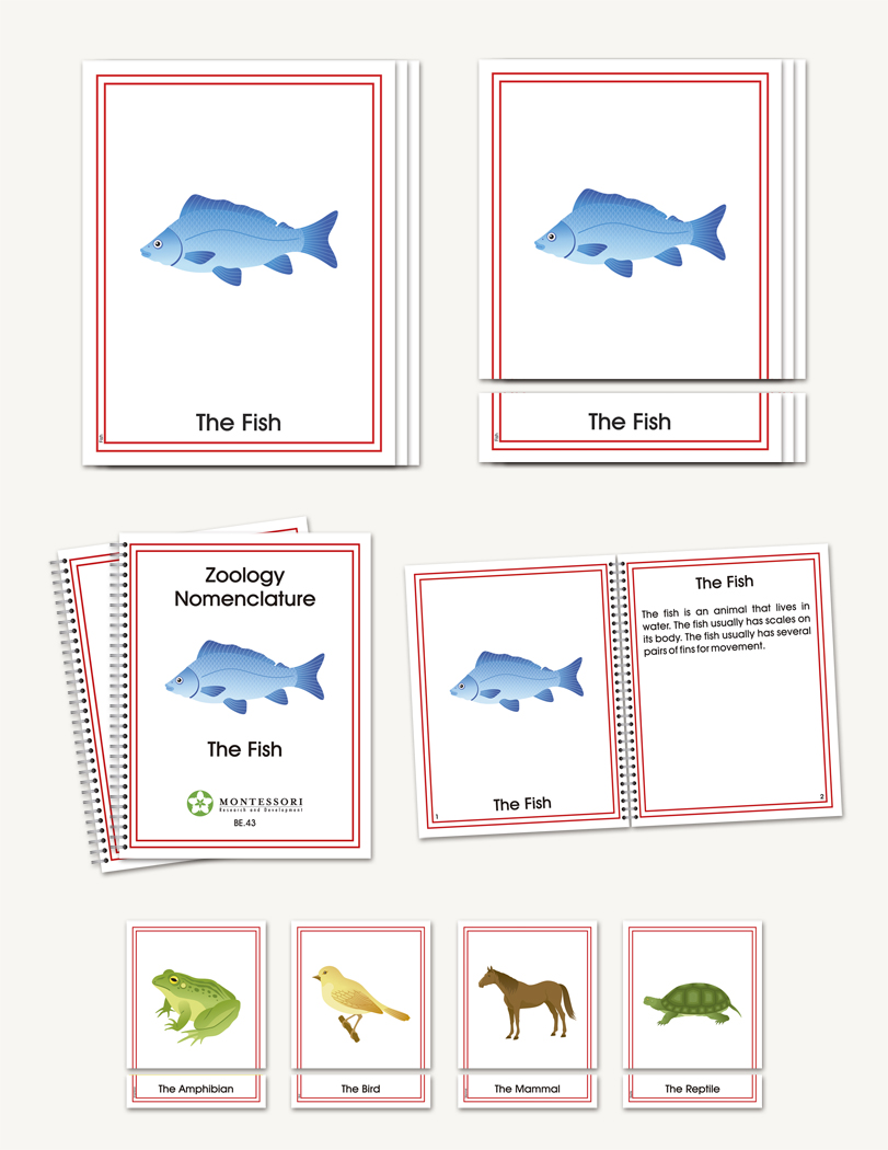 Zoology Early Childhood Nomenclature - sku BP.43 - 1