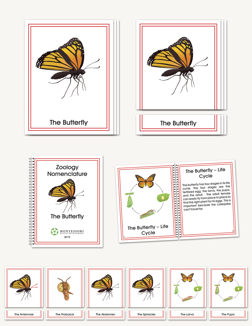 The Butterfly  - sku BP.70 - 1