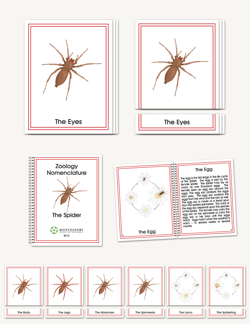 The Spider - sku BP.72 - 1