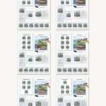 Biogeochemical Cycles Complete Set