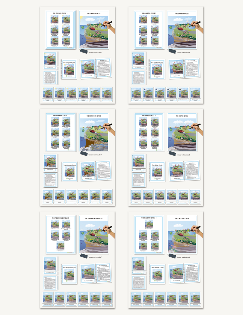 Biogeochemical Cycles Complete Set - sku CE.20 - 1