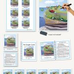 Biogeochemical Cycles, The Oxygen Cycle