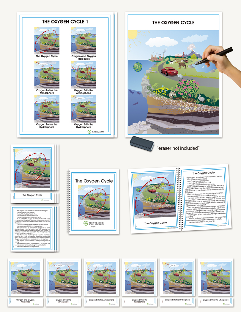 Biogeochemical Cycles