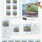 Biogeochemical Cycles, The Carbon Cycle