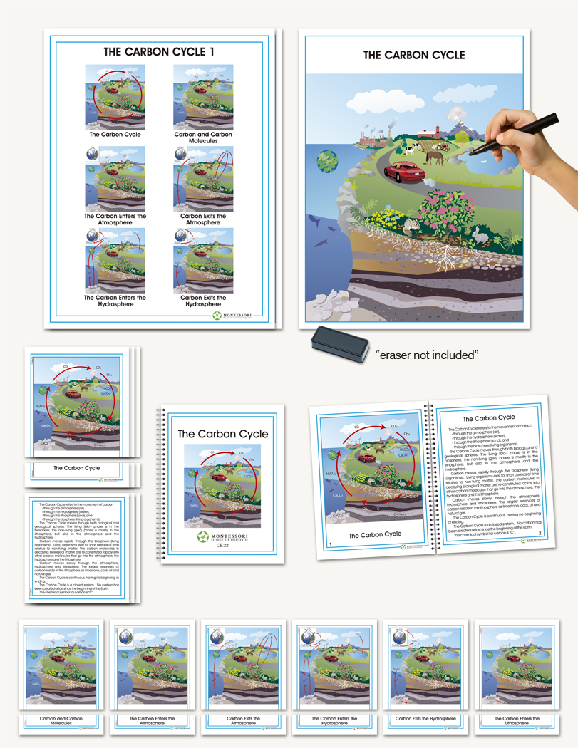 Biogeochemical Cycles