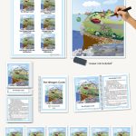 Biogeochemical Cycles, The Nitrogen Cycle