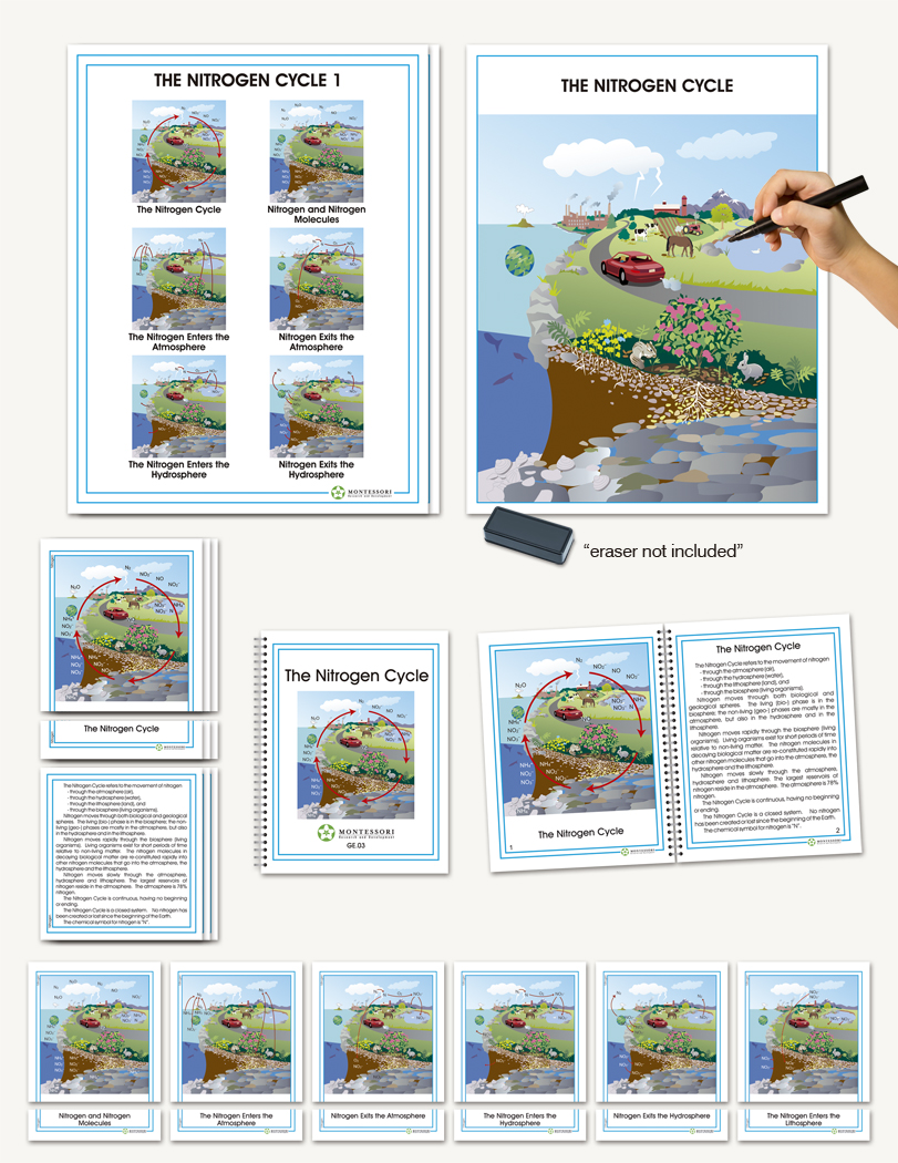 Biogeochemical Cycles