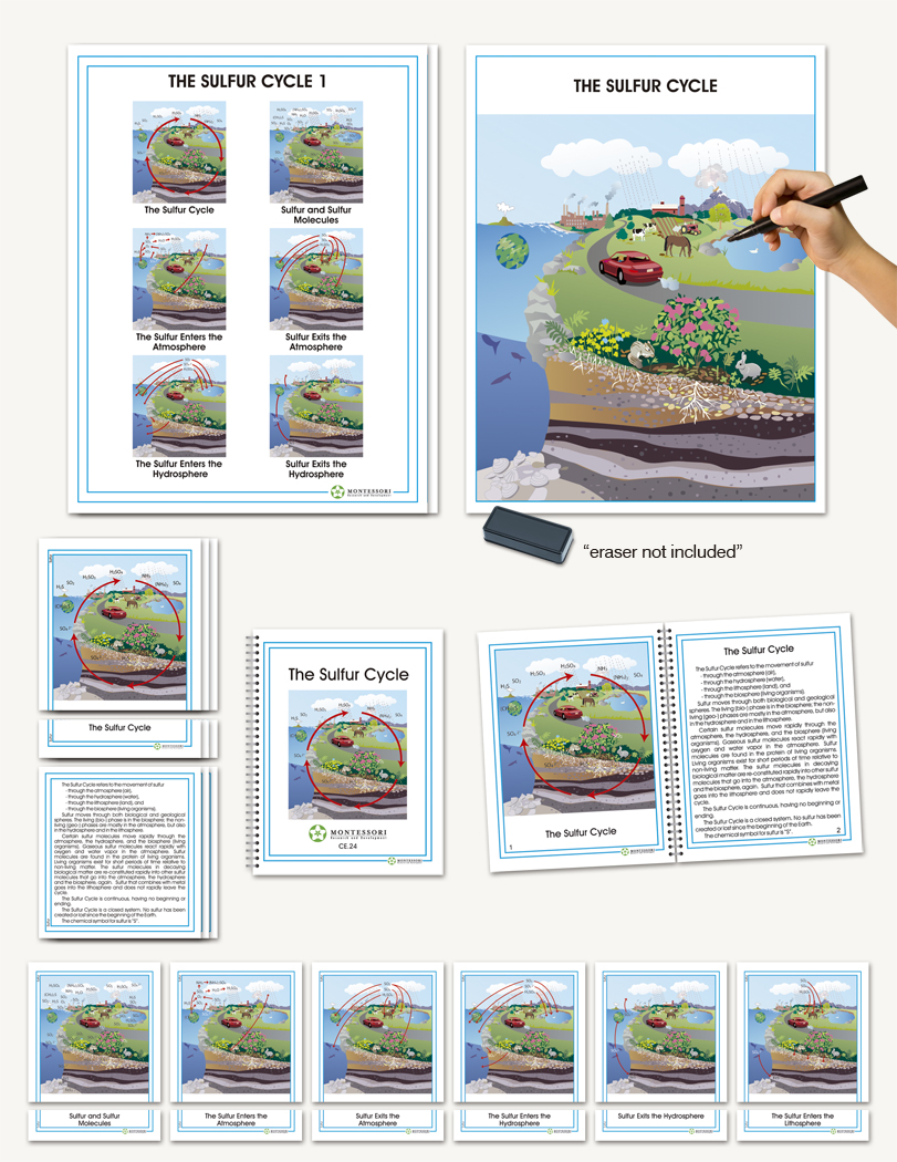 Biogeochemical Cycles