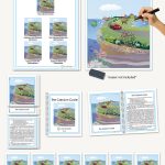 Biogeochemical Cycles, The  Calcium Cycle