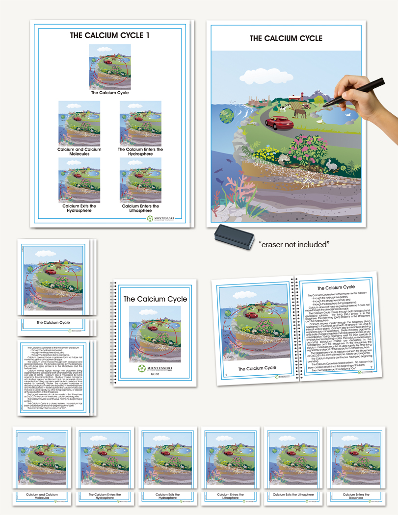 Biogeochemical Cycles