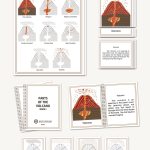 Volcano Parts, Elementary