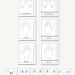 Left Hand - Right Hand