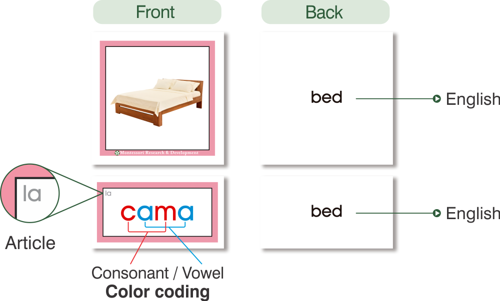 Spanish Pink Series, Picture Cards with Word Labels - 1