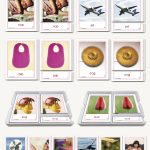 Pink Series Phonic Three-Part Cards