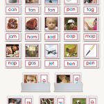 Phonic Picture Cards with Word Label