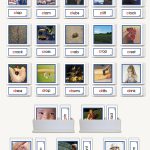 Consonant Blend Pictures W/Word Labels