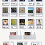 Consonant Blend Pictures w/Sentences