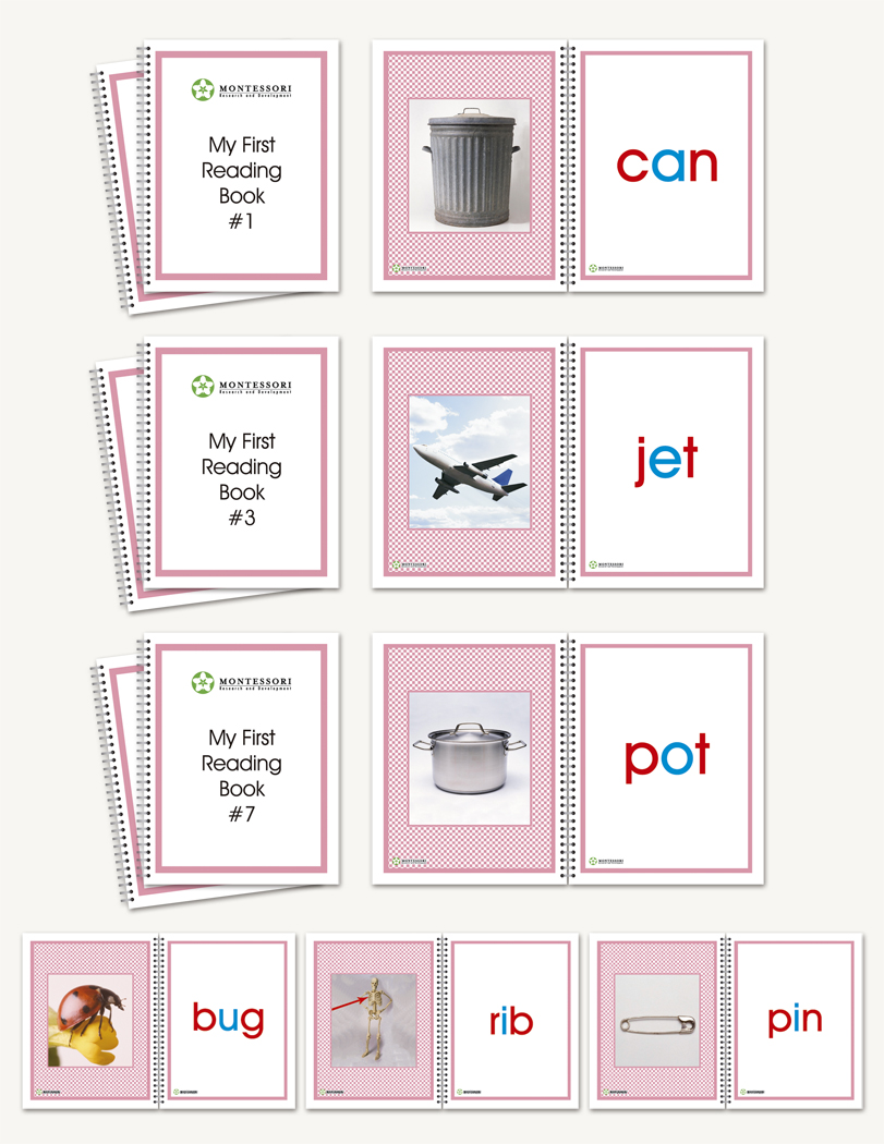 Phonic Single Word Booklets - 1
