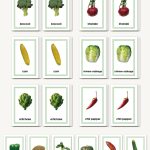 Picture Card Matching- Vegetables