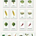 Vegetables - Matching Cards SPANISH