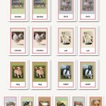 Picture Card Matching- Domesticated Animals