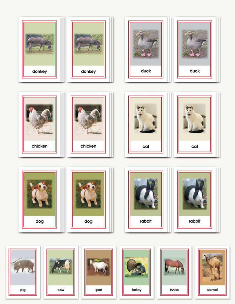 Picture Card Matching- Domesticated Animals - sku LAP.30 - 1