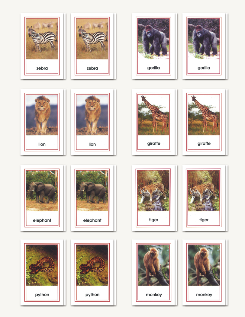 Picture Card Matching- Wild Animals - sku LAP.31 - 1