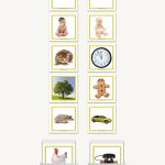 Concept Development Living - Non-Living