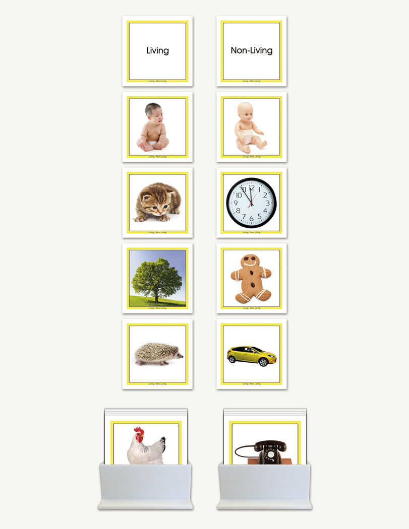 Concept Development Living - Non-Living - sku LAP.88 - 1