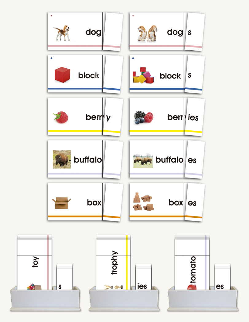 Singular - Plural - sku LAP.CC1 - 1