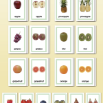 Picture Card Matching- Whole & Half Fruit