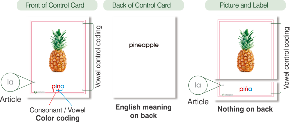 Spanish Pink Series, Three-Part Cards - 1