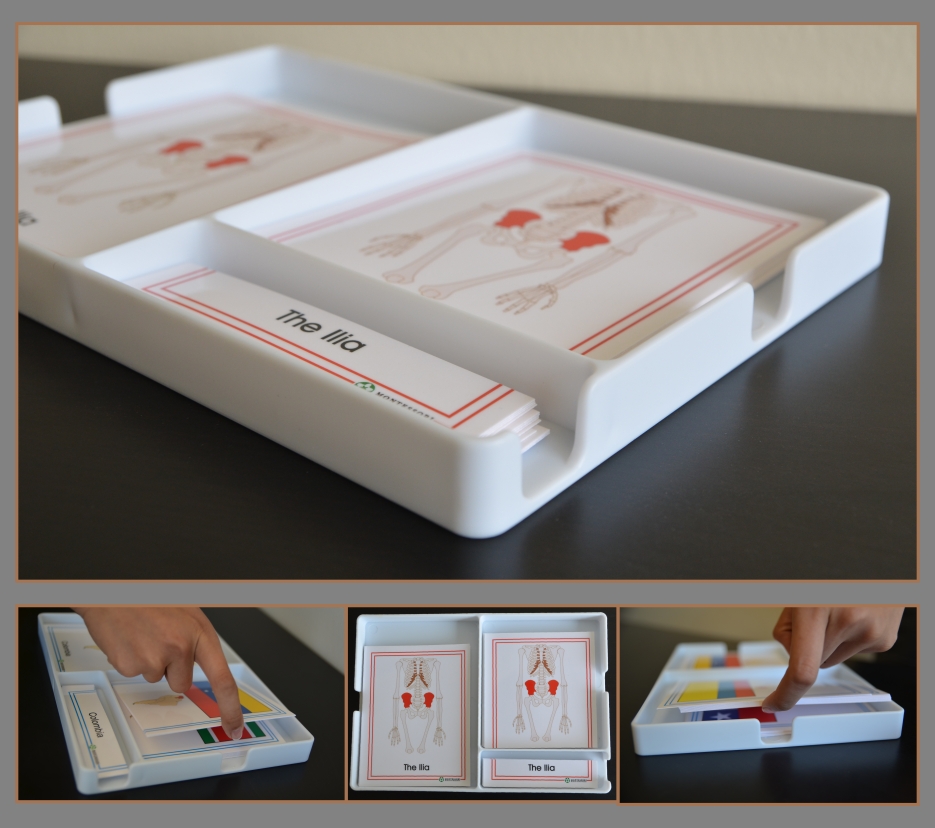 Three Part Cards Trays Containers - sku DC.05 - 1