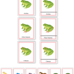 Zoology Early Childhood Nomenclature SPANISH